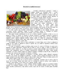 Bucătăria Moldoveneasca - Pagina 1