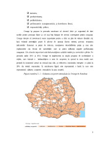 Management Strategic - Orange România - Pagina 3