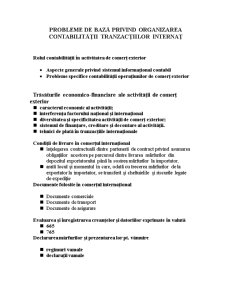 Probleme de bază privind organizarea contabilității tranzacțiilor internaționale - Pagina 1