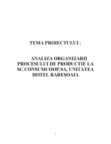 Analiza organizării procesului de producție la SC Consumcoop SA, unitatea Hotel Raresoaia - Pagina 2