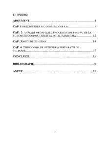 Analiza organizării procesului de producție la SC Consumcoop SA, unitatea Hotel Raresoaia - Pagina 3