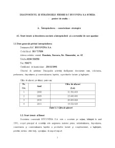 Diagnosticul și Strategiile Firmei SC Bucovina SA Scheia - Pagina 1