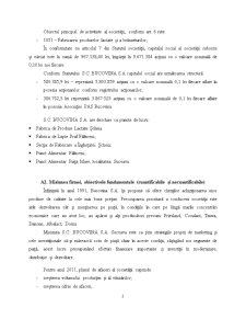 Diagnosticul și Strategiile Firmei SC Bucovina SA Scheia - Pagina 2