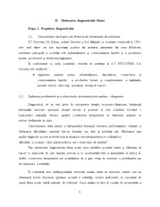 Diagnosticul și Strategiile Firmei SC Bucovina SA Scheia - Pagina 5