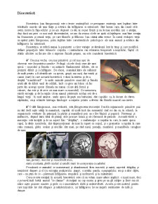 Bioestetică - Pagina 1