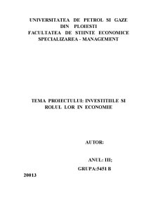 Investițiile și rolul lor în economie - Pagina 1