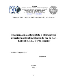 Evaluarea în contabilitate a elementelor de natura activelor - studiu de caz la SC Eurolil SRL - Pagina 2