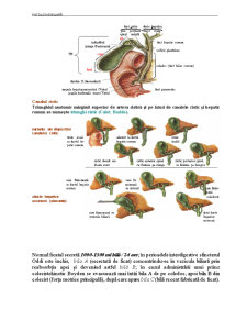 Patologia Chirurgicală a Căilor Biliare - Pagina 2