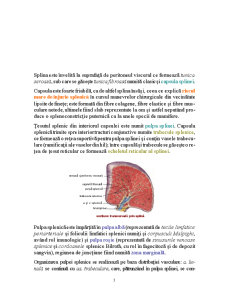 Patologia Chirurgicală a Splinei - Pagina 3