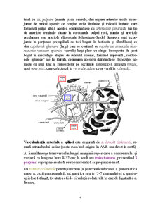 Patologia Chirurgicală a Splinei - Pagina 4