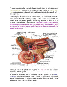 Patologia Chirurgicală a Splinei - Pagina 5