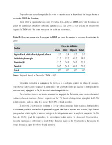 Analiza IMM din România - Pagina 5