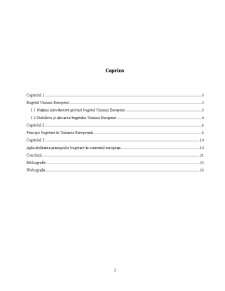Principii bugetare în Uniunea Europeană și aplicabilitatea lor în contextul european - Pagina 2