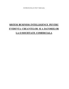 Sistem business intelligence pentru evidența creanțelor și a datoriilor la o societate comercială - Pagina 1
