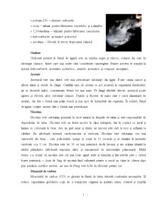 Fumul de Țigară - Pagina 2
