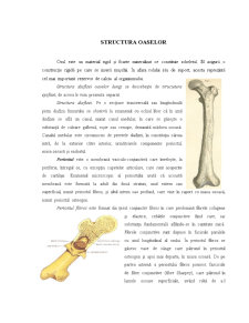 Structura oaselor - Pagina 1