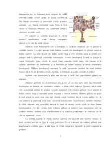 Structura oaselor - Pagina 4
