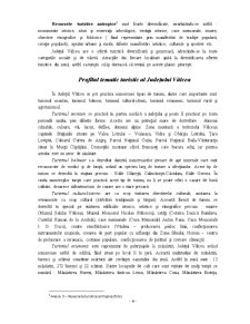 Județul Vâlcea - perspective de dezvoltare durabilă a turismului - Pagina 4