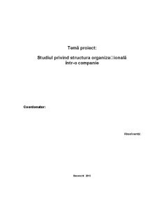 Studiul Privind Structura Organizațională într-o Companie - Pagina 1