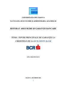 Tipuri principale de garanții la creditele BCR - Pagina 1