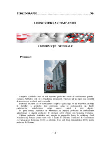 Plan de Afaceri Antibiotice Iași - Pagina 3