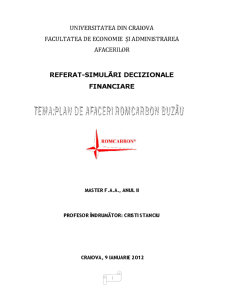 Plan de afaceri Romcarbon Buzău - Pagina 1