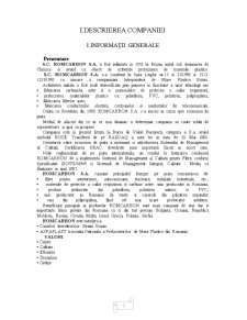Plan de afaceri Romcarbon Buzău - Pagina 3
