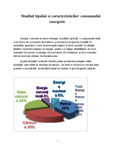 Studiul Tipului și Caracteristicilor Consumului Energetic - Pagina 2