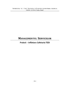 Managementul serviciilor - înființare Cofetăria Tedi - Pagina 1