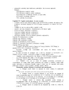 Sistemul informațional la SC Umaro SA Roman - Pagina 3