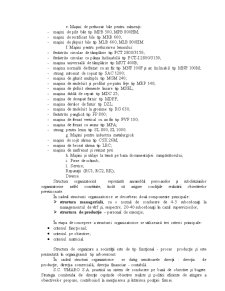 Sistemul informațional la SC Umaro SA Roman - Pagina 4