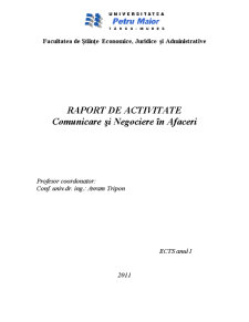 Raport de Activitate - Comunicare și Negociere în Afaceri - Pagina 1