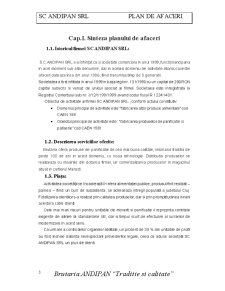 Plan de Afaceri - Brutaria Andipan - Pagina 3