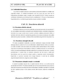Plan de Afaceri - Brutaria Andipan - Pagina 4