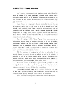 Proiect Economic - SC Vincon Vrancea SA - Pagina 2