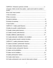 Analiza stării financiare la SC Casă de Bucovina - Club de Munte SA - Pagina 2