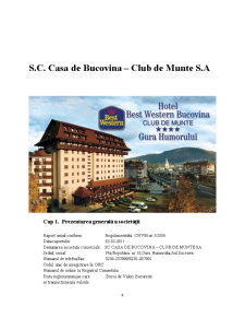 Analiza stării financiare la SC Casă de Bucovina - Club de Munte SA - Pagina 4