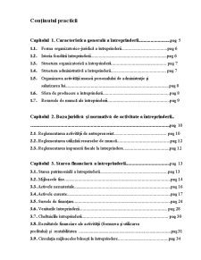 Raport de practică - SC Editura Continental Grup SRL - Pagina 1
