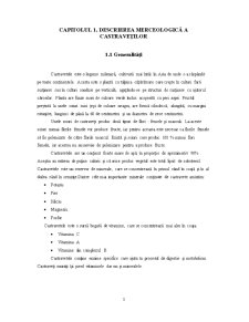 Metode de conservare a castraveților prin acidifiere naturală - Pagina 3