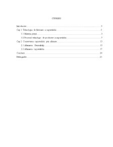 Metode de conservare la cașcaval - Pagina 1