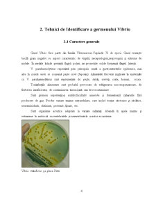 Tehnici de Identificare a Germenilor Vibrio, Yersinia și Campylobacter - Pagina 4
