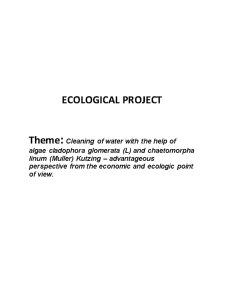 Cleaning of Water With The Help of Algae Cladophora Glomerata (L) and Chaetomorpha Linum (Muller) Kutzing - Advantageous Perspective From The Economic and Ecologic Point of View - Pagina 1