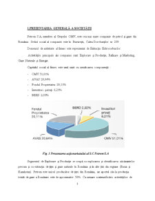 Analiza SC Petrom SA - Pagina 3