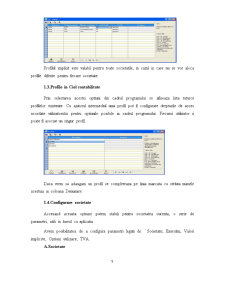 Sisteme Informatice Financiar - Contabile Comparate. Prezentare Program - CIEL - Pagina 5