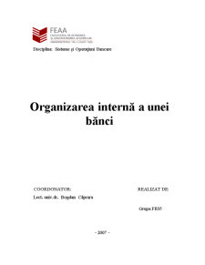 Organizarea Internă a unei Bănci - Pagina 2