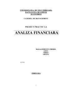 Analiza financiară - Pagina 1