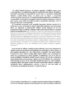 Evoluția Spatiului Concurențial în România după Aderarea la Uniunea Europeană - Pagina 5
