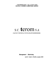 SC Terom SA - raport privind activitatea întreprinderii - Pagina 1