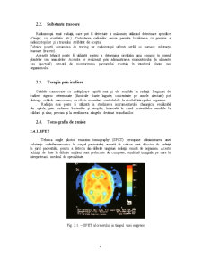 Medicină nucleară - factorii care influențează radiosensibilitatea - Pagina 5
