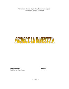 Proiect de investiții - Pagina 1